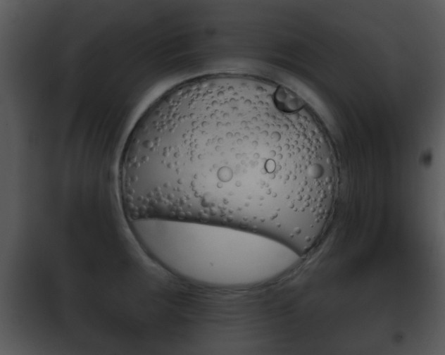 X0000101981283200807180751