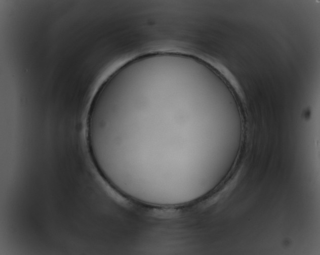 X0000101981285200807180751
