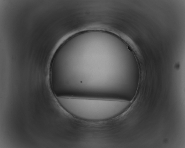 X0000101981288200807180751