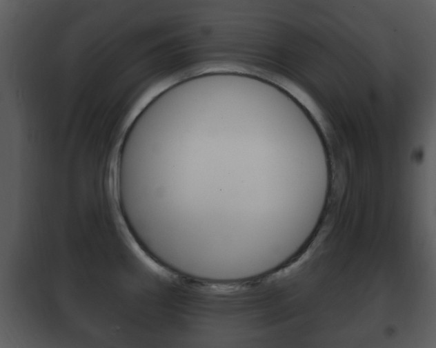 X0000101981290200807180751