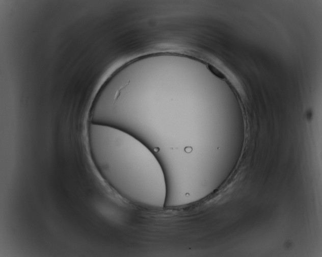 X0000101981291200807180751