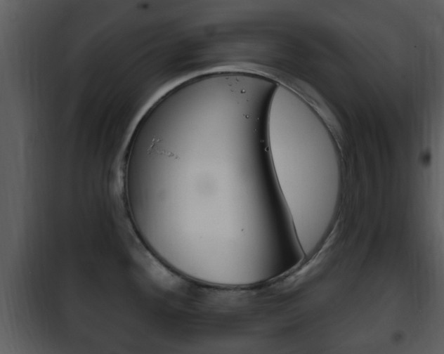X0000101981292200807180751