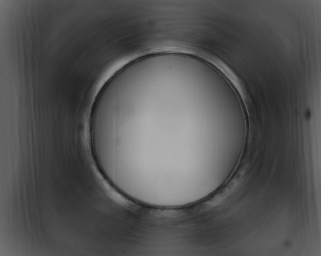 X0000101981293200807180751