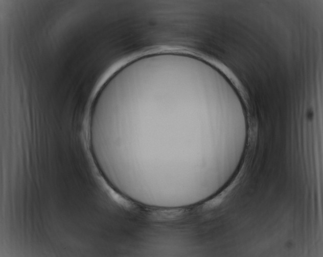 X0000101981294200807180751
