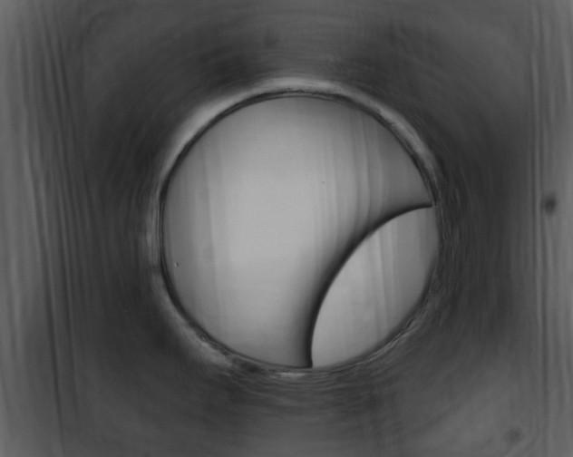 X0000101981295200807180751