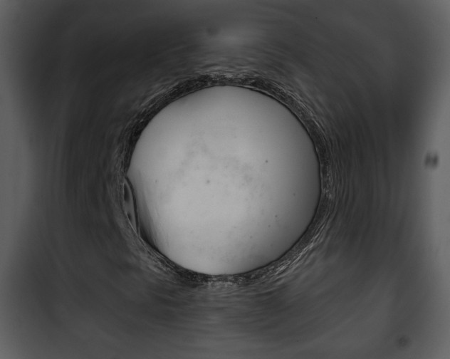 X0000101981297200807180750