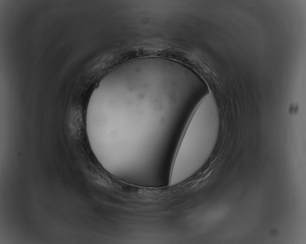 X0000101981299200807180750