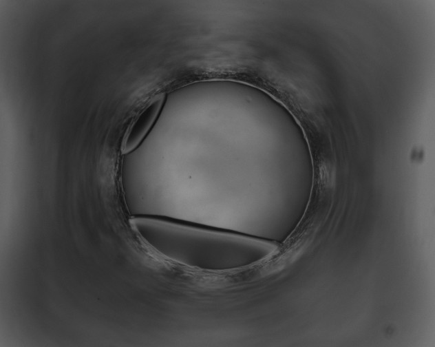 X0000101981300200807180750