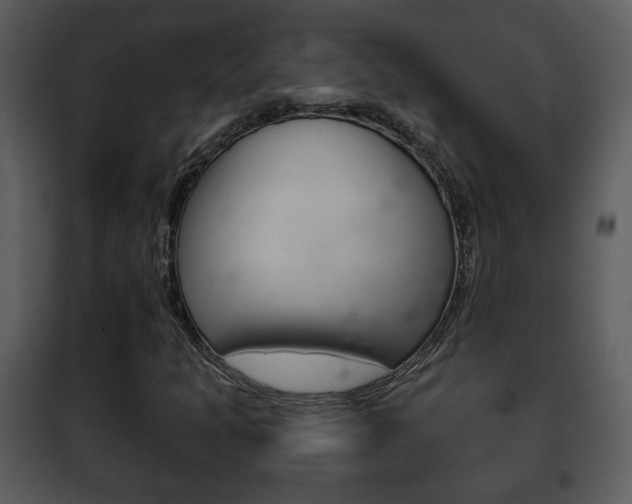 X0000101981301200807180750
