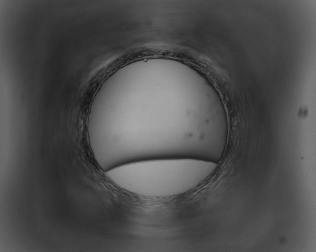 X0000101981302200807180750