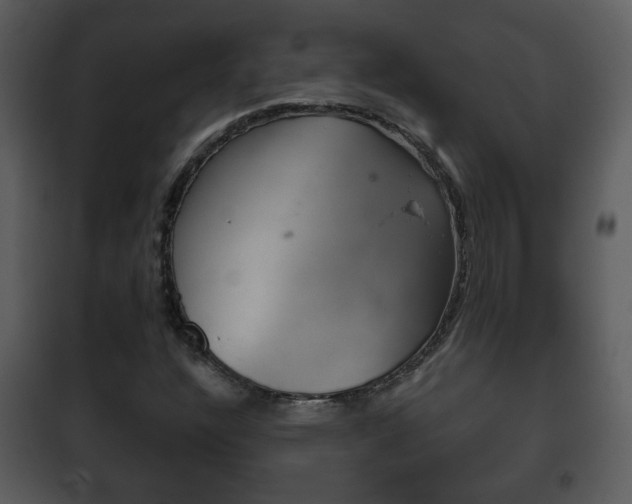 X0000101981304200807180750
