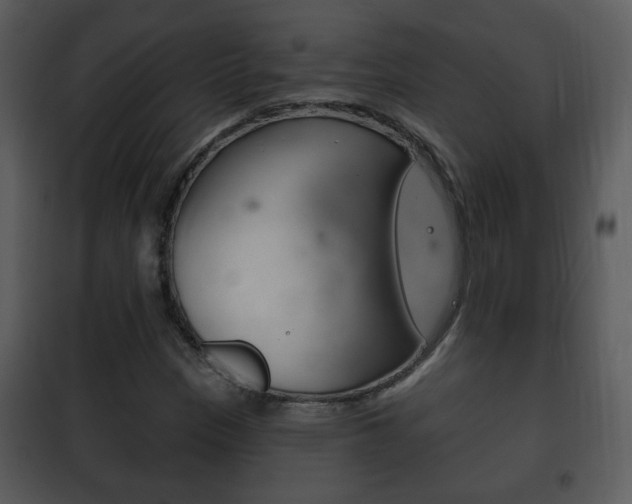 X0000101981305200807180750