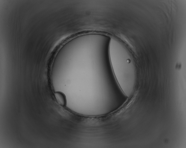 X0000101981307200807180750