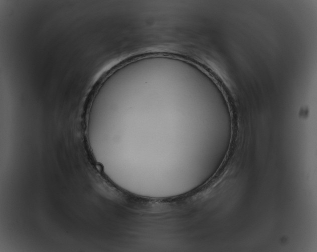 X0000101981308200807180750