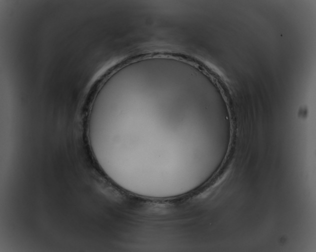 X0000101981309200807180750