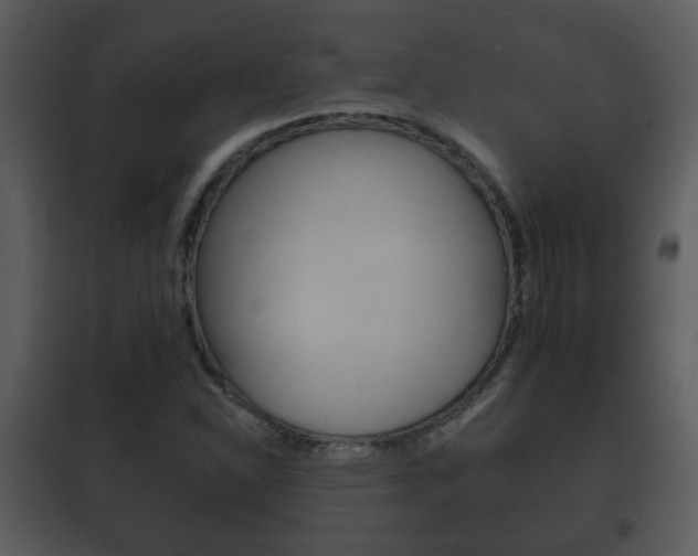 X0000101981310200807180750