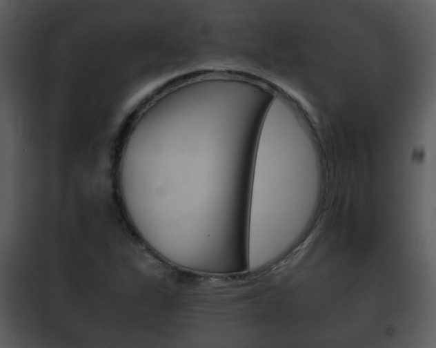 X0000101981311200807180750