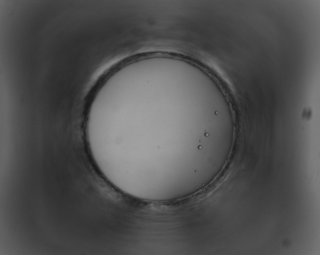 X0000101981312200807180750