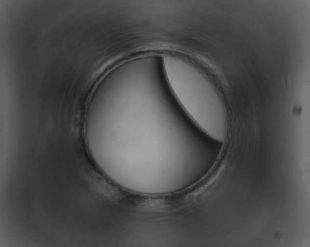X0000101981313200807180750