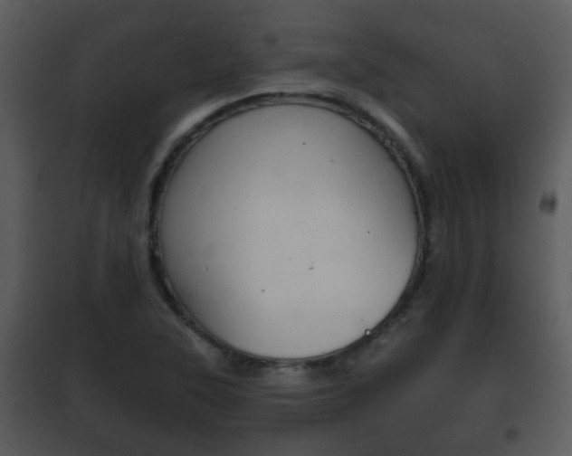X0000101981315200807180750
