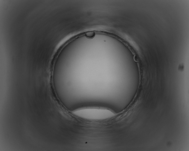 X0000101981316200807180750
