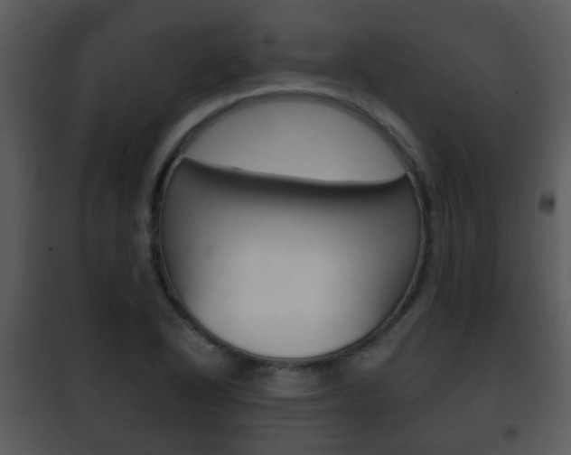 X0000101981318200807180750