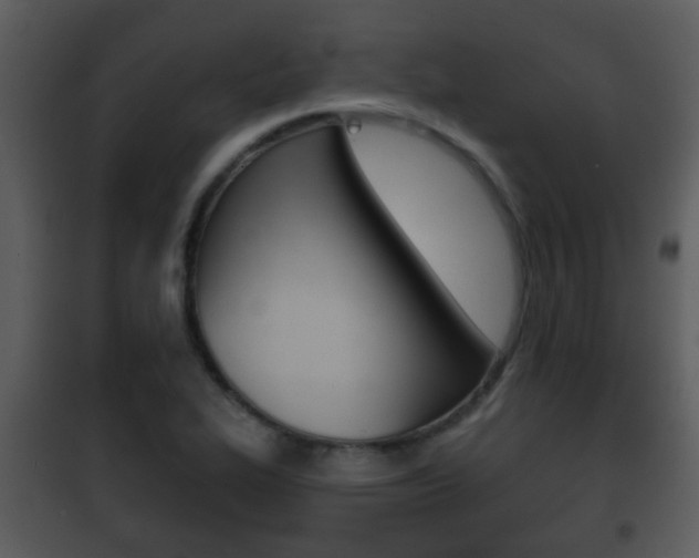 X0000101981319200807180750