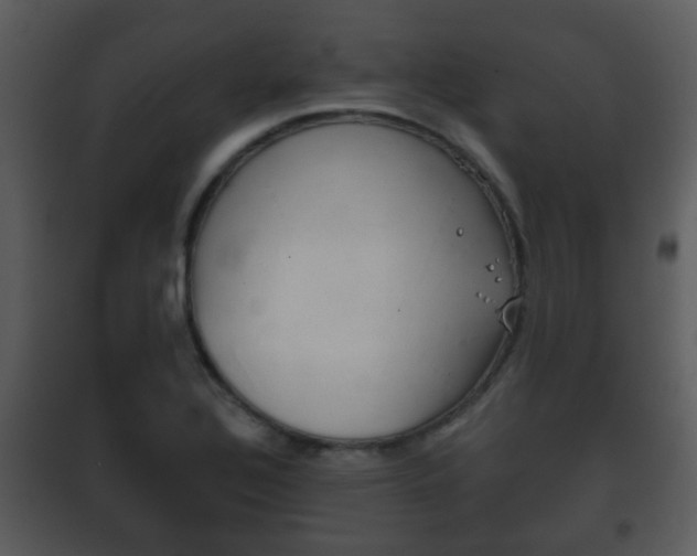 X0000101981320200807180750