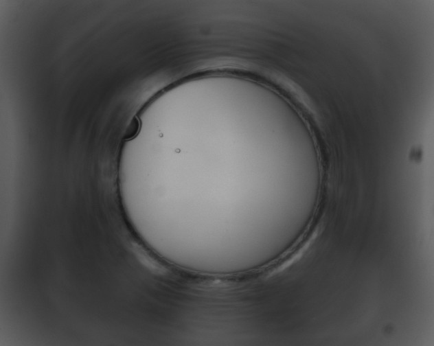 X0000101981321200807180750