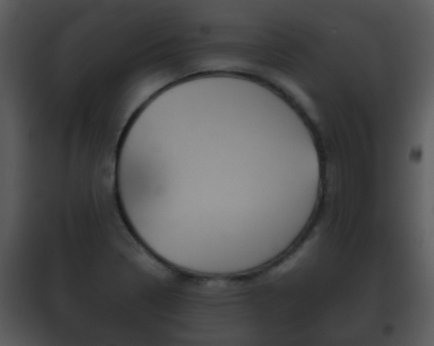 X0000101981322200807180750