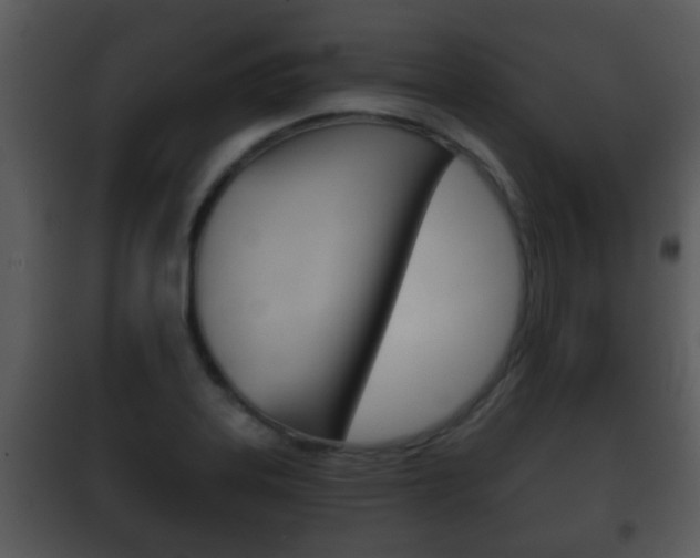 X0000101981323200807180750