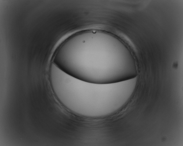 X0000101981324200807180750