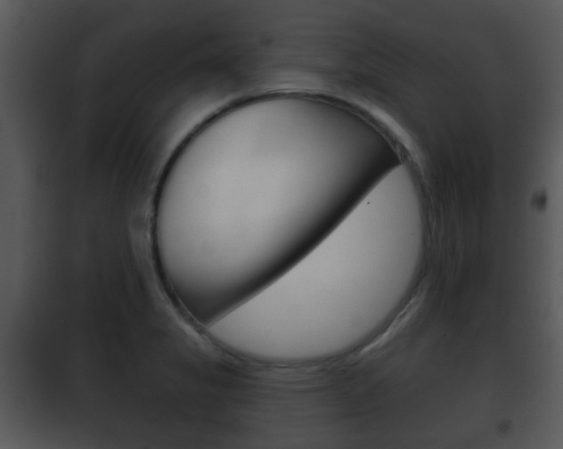 X0000101981325200807180750
