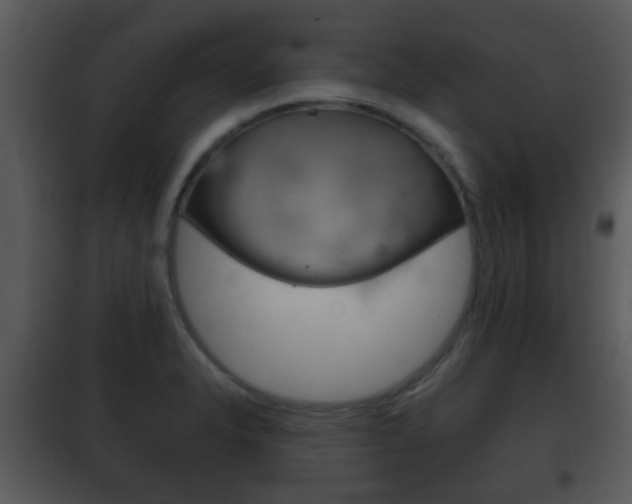 X0000101981326200807180750