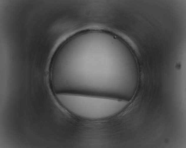 X0000101981327200807180750