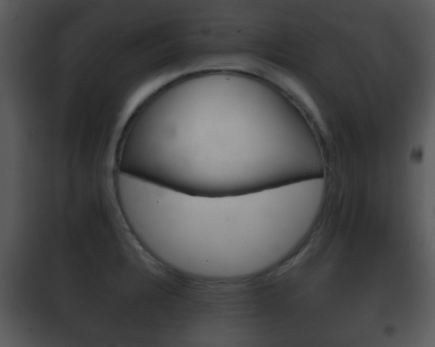 X0000101981328200807180750
