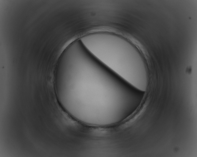 X0000101981329200807180750