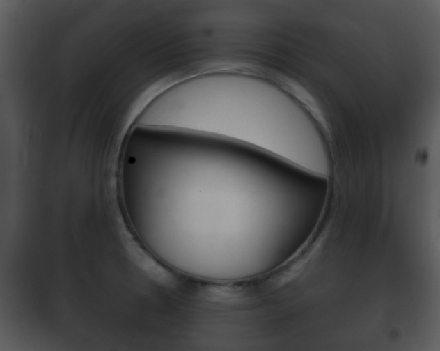 X0000101981330200807180750