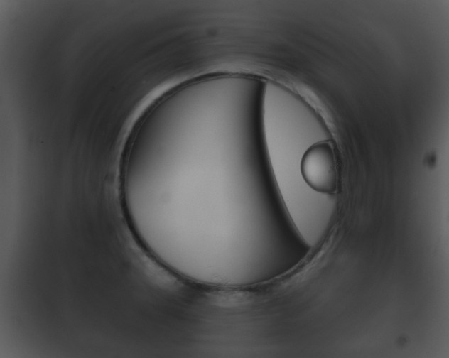 X0000101981331200807180750