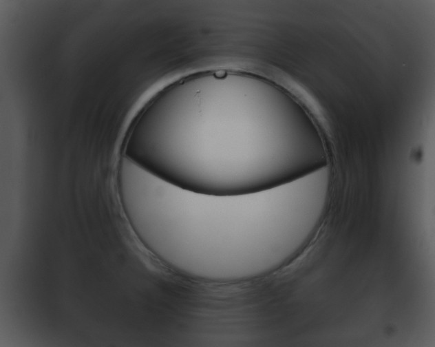 X0000101981332200807180750