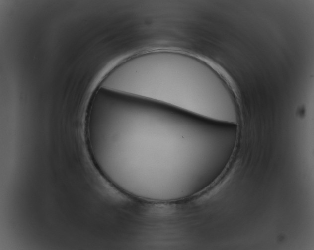 X0000101981333200807180751