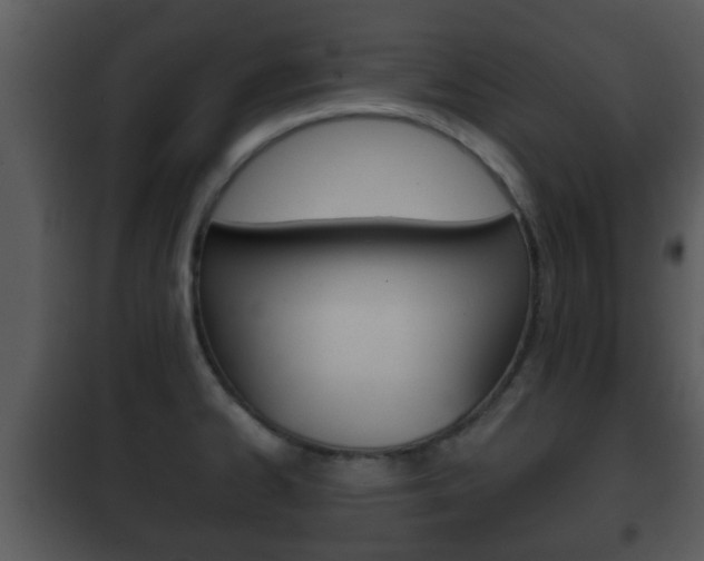 X0000101981334200807180751