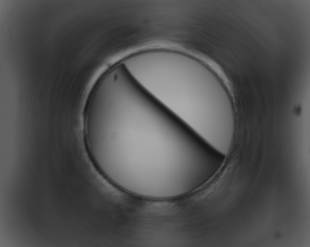X0000101981335200807180751