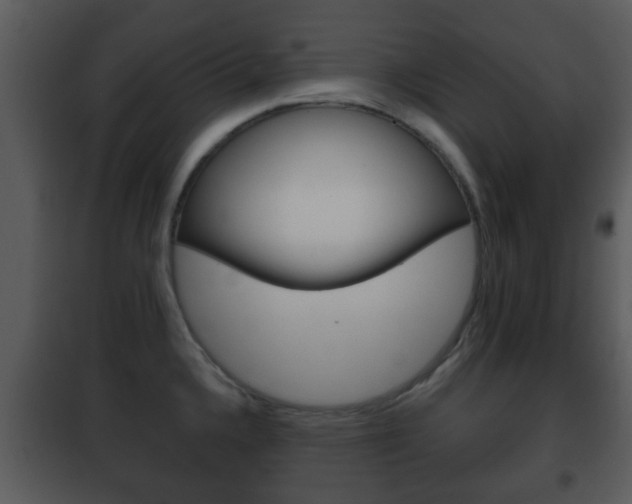 X0000101981336200807180751