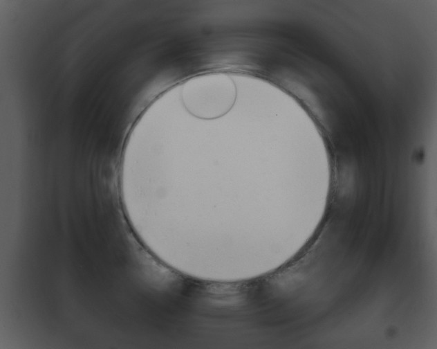 X0000101981338200807180751