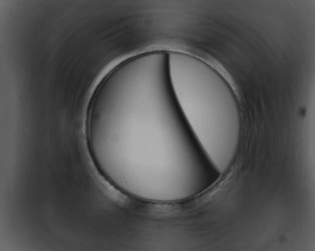 X0000101981339200807180751