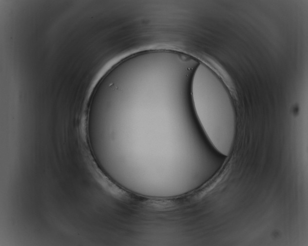 X0000101981340200807180751