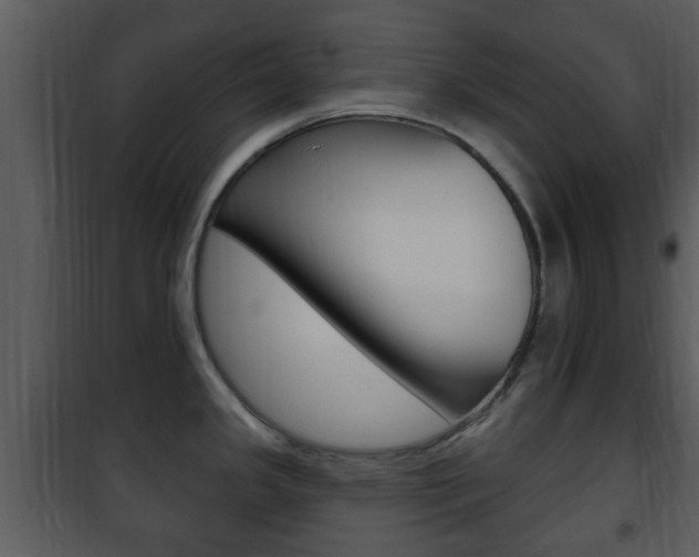 X0000101981341200807180751