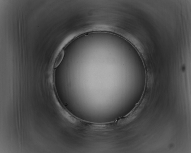 X0000101981342200807180751