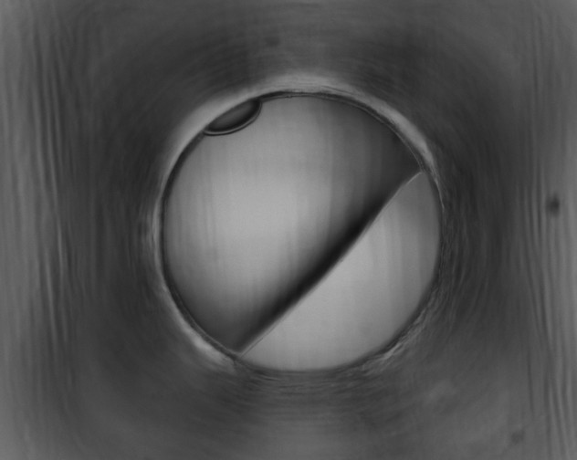 X0000101981343200807180751